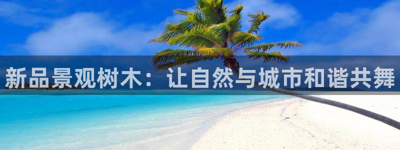 新宝gg主管、