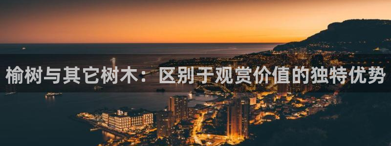 创造奇迹 新宝gg