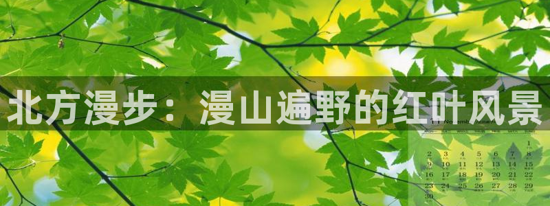 新宝gg 创造奇迹
