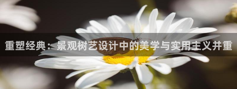 新宝gg 金苹果