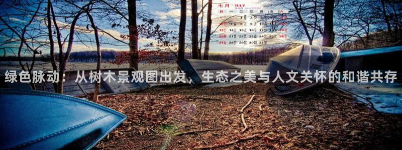 新宝gg创造奇迹下载