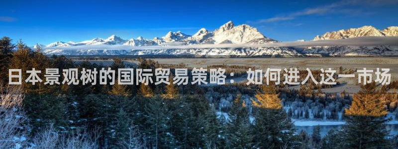注册新宝gg：日本景观树的国际贸易策略：如何进入这一市场