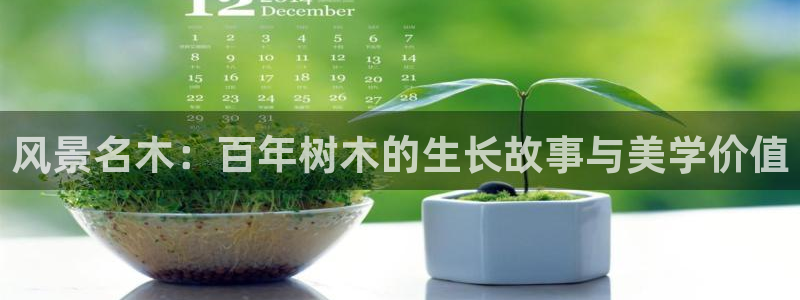 新宝gg注册登录：风景名木：百年树木的生长故事与美学价值
