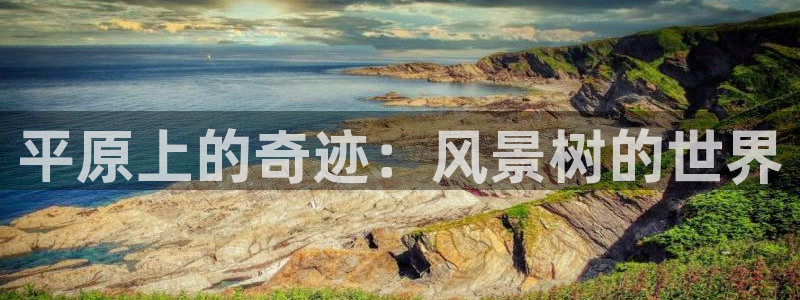 新宝gg娱乐客户端下载：平原上的奇迹：风景树的世界