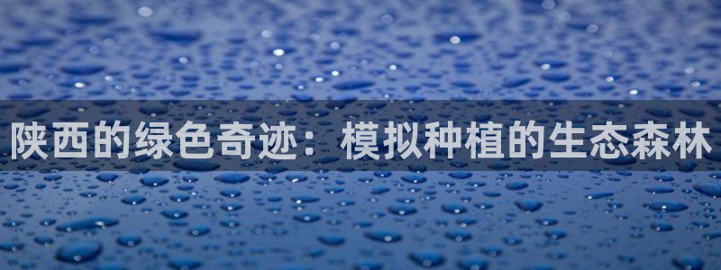 新宝gg开户流程：陕西的绿色奇迹：模拟种植的生态森林