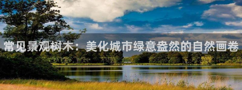 新宝GG—创造奇迹