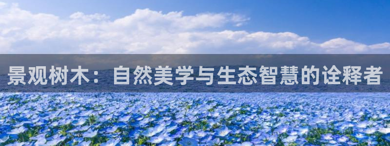 新宝gg app：景观树木：自然美学与生态智慧的诠释者
